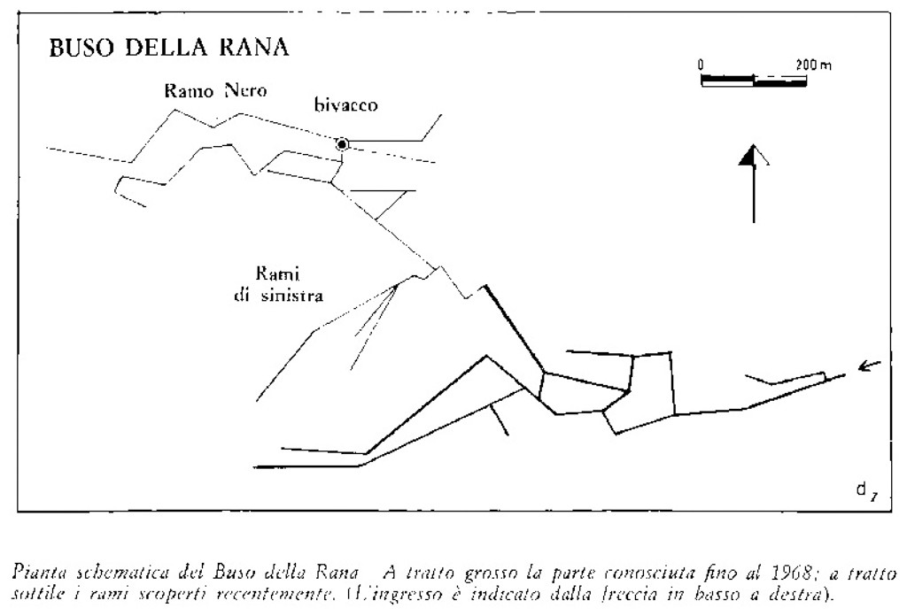 lo schema dei rami esplorati durante gli anni dal 1968 al 1975