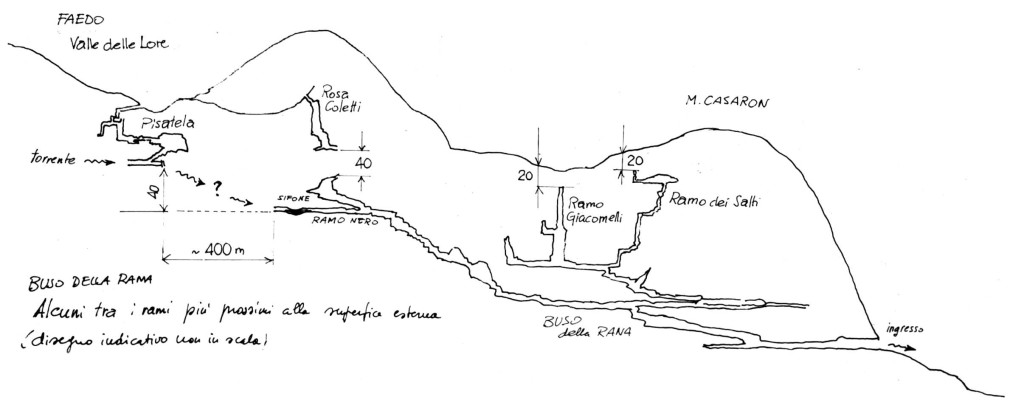 Sezione dell'Altopiano Faedo-Casaròn con le principali diramazioni prossime alla superficie (disegno di Federico Lanaro) 1993